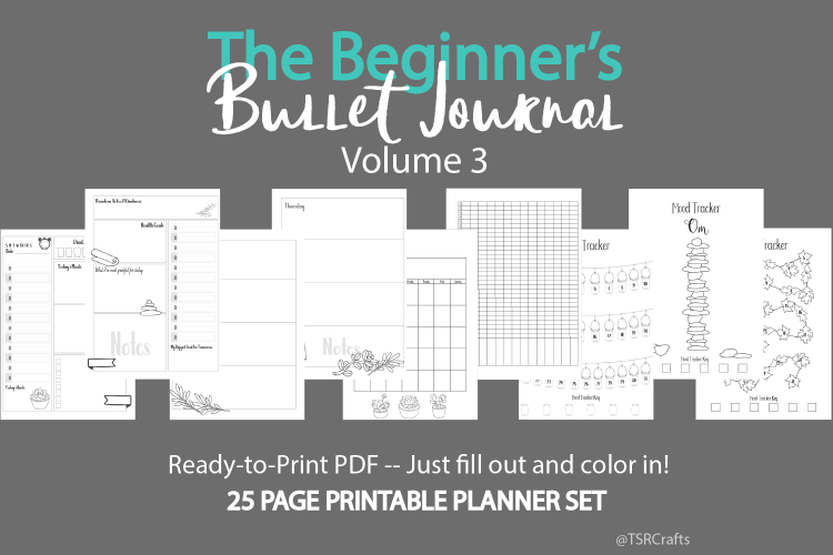 The Beginners Bullet Journal - Volume 3