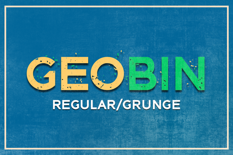 GEO BIN Regular/Grunge