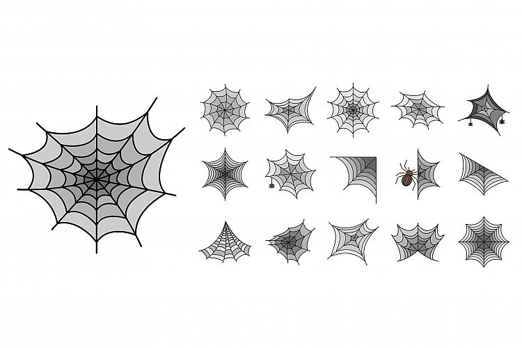 Spider icon set line color vector example image 1