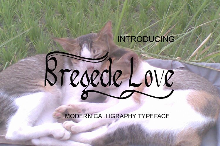 Bregede Love