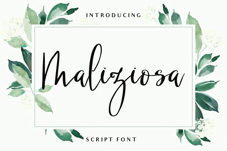 MALIZIOSA SCRIPT FONT