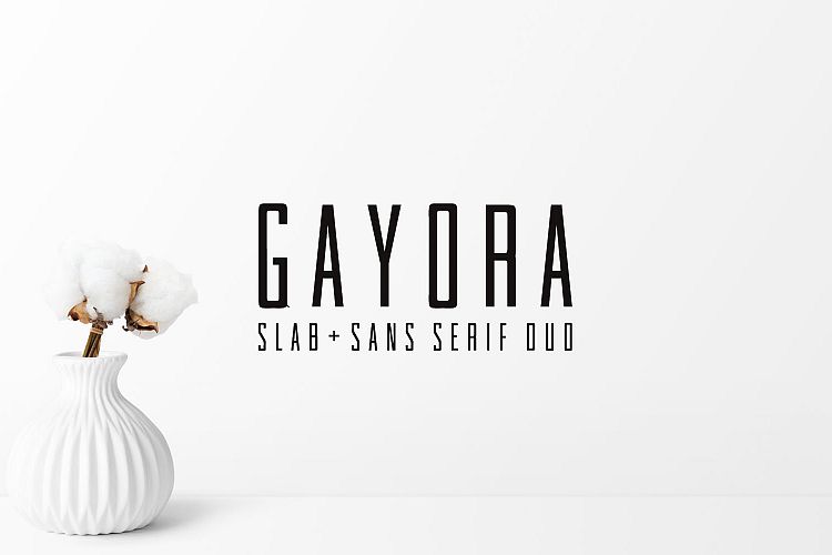 Gayora Slab Serif | Duo Font