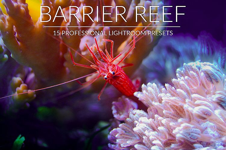 Barrier Reef Lr Presets