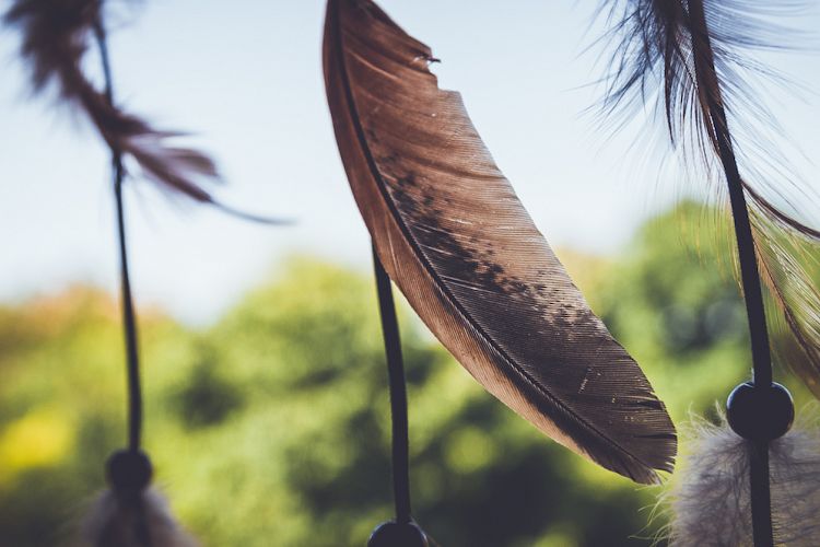 Dreamcatcher feather example image 1