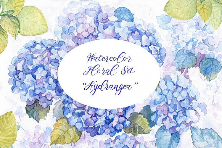 Hydrangea Watercolor Flowers