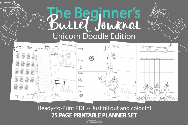 The Beginners Bullet Journal - UNICORN DOODLES Edition