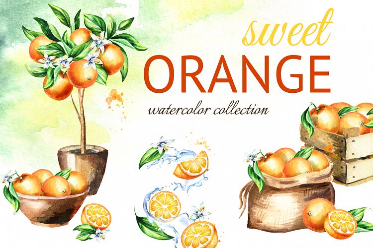 Natural Orange juice. Watercolor