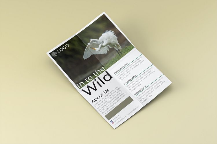 In to the wild