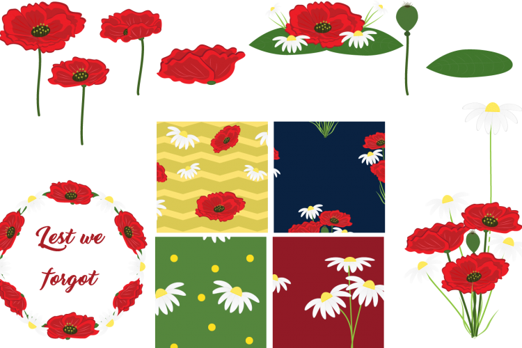 Poppies and Daisies