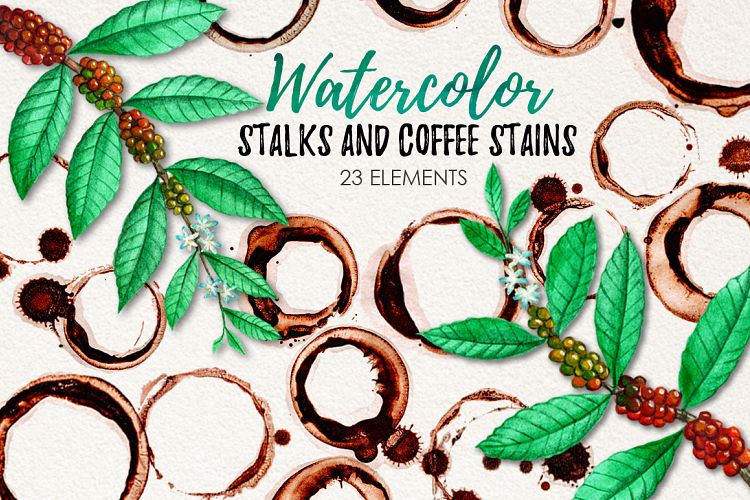 Watercolor Coffee Stains and Stalks