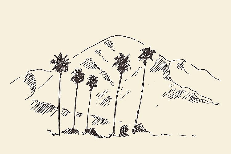 California, Los Angeles (4 pics)