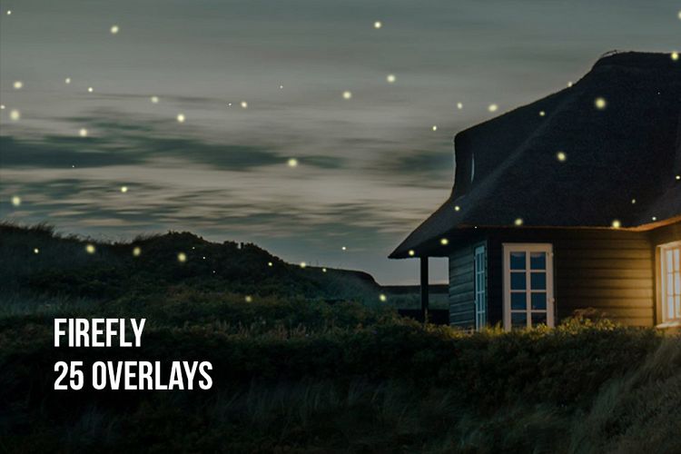 Firefly Overlays