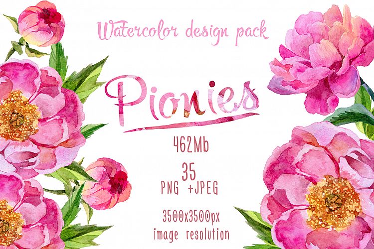 Paradise pink peonies PNG watercolor set