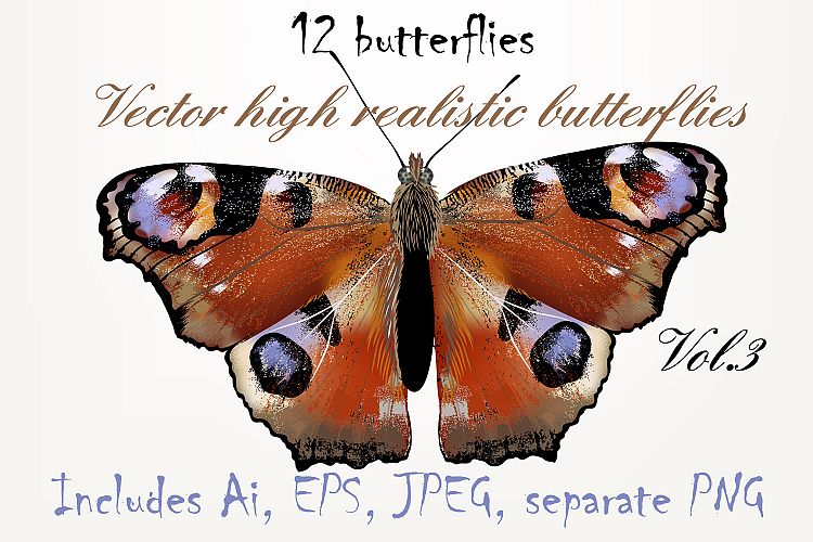 Set of vector butterflies Vol.3