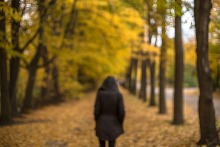  Blurred walking girl on a autumn alley 