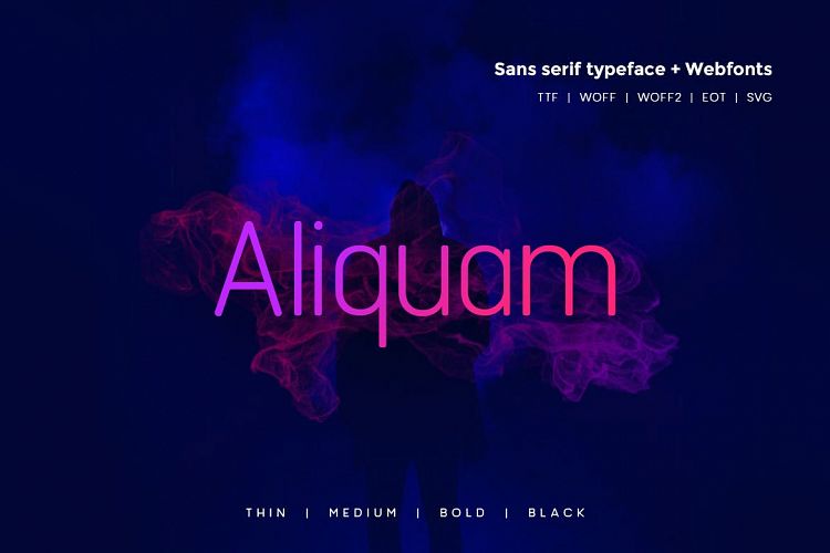 Aliquam - Modern Typeface WebFonts