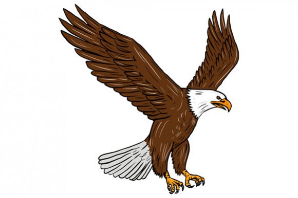 Bald Eagle Flying Drawing example image 1