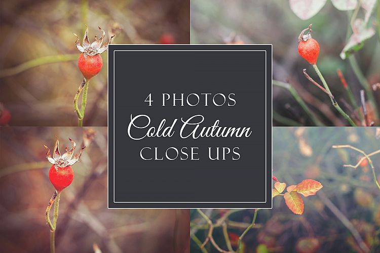 4 cold autumn photos