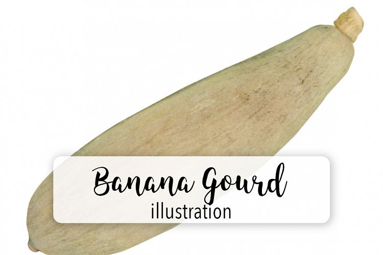 Banana Gourd