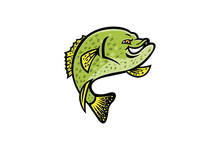 Crappie Fish Mascot