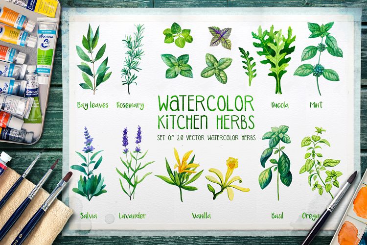 Watercolor Herbs