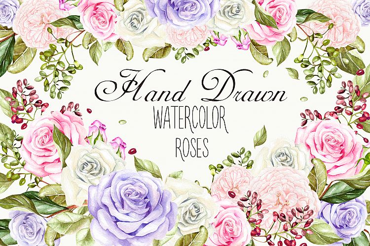 Hand drawn watercolor ROSES