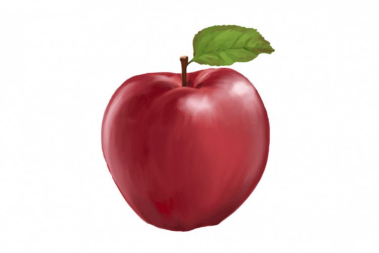 realistic apple hand painting vector