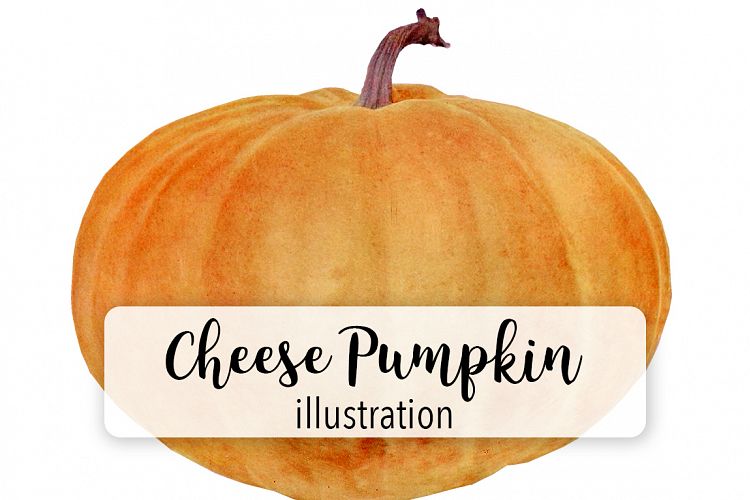 Cheese Pumpkin