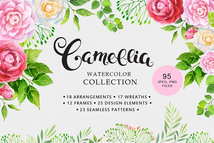 Camellia watercolor collection