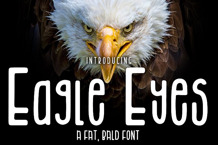 Eagle Eyes