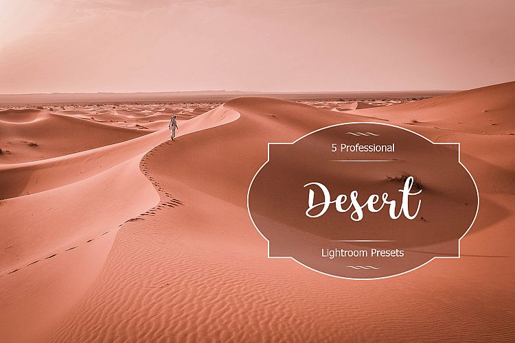 Desert Lr Presets