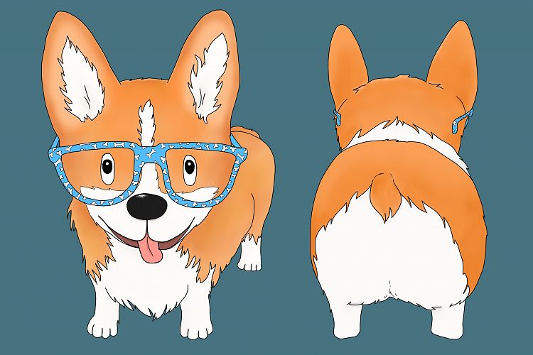 Corgi Dog with Glasses | Front and Rear view | PNG/JPEG