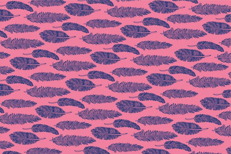 feathers pattern vector