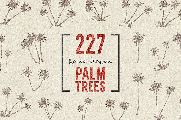 227 hand drawn palms + BONUS