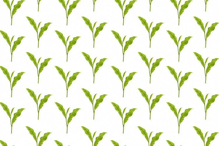 tea leaf hand painting pattern