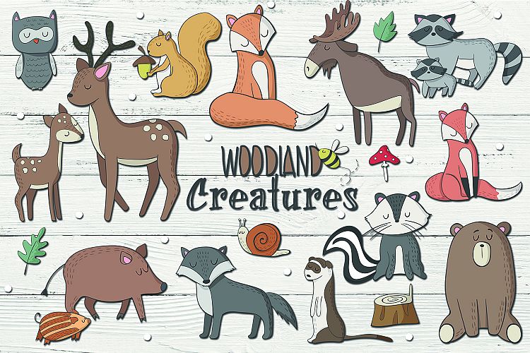 Woodland Animal Clipart