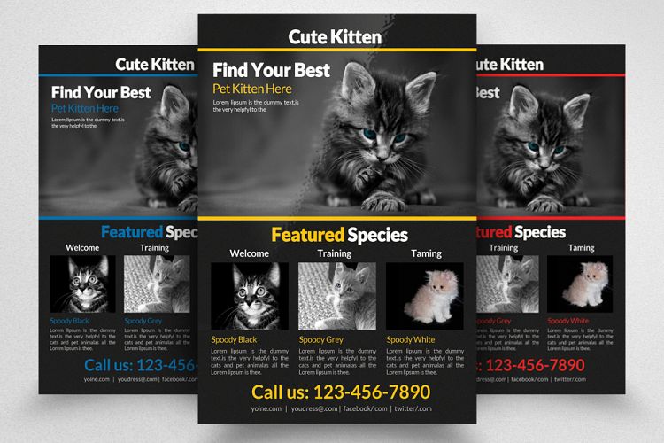 Pets Shop Flyer Template