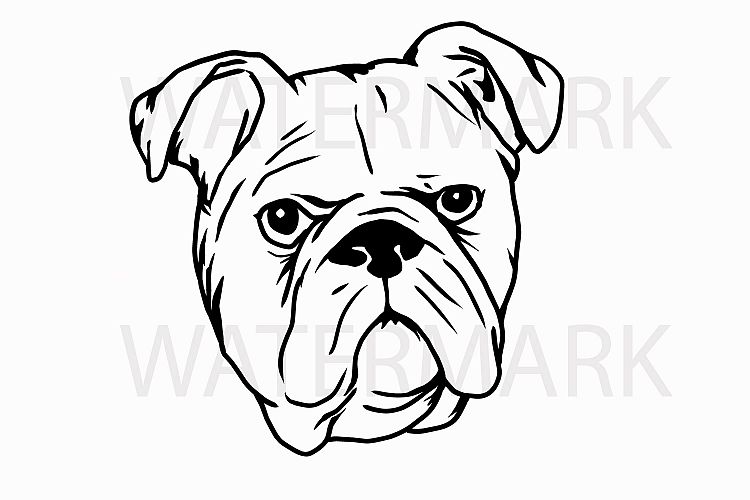 Bulldog Head A - SVG/JPG/PNG Hand Drawing (63882) | Illustrations