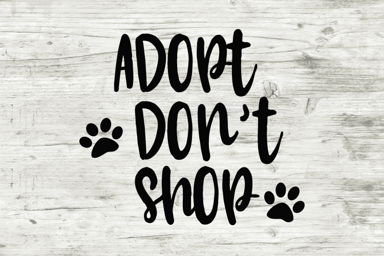 Adopt dont shop