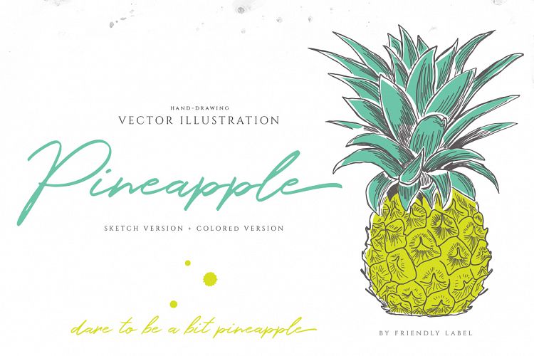 PINEAPPLE hand-sketched plus colors