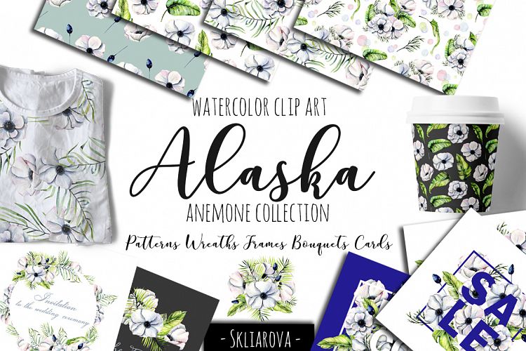 Alaska. Big Anemone Collection.