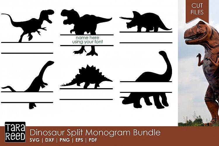 Dinosaur Split Monogram Bundle