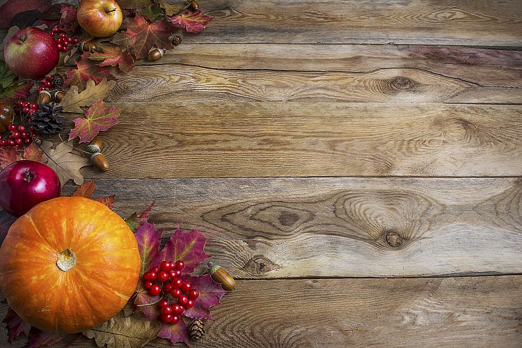 Thanksgiving or fall greeting background with orange pumpkin