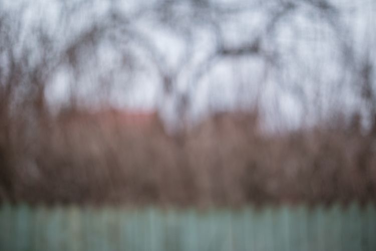 Blurred autumn garden