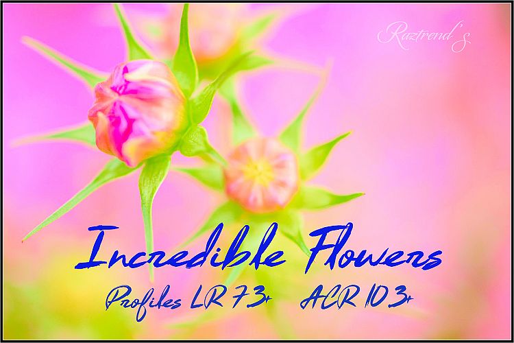 Incredible Flowers Profiles LR7.3 ACR10.3