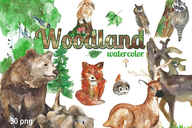 Woodland Watercolor clip art