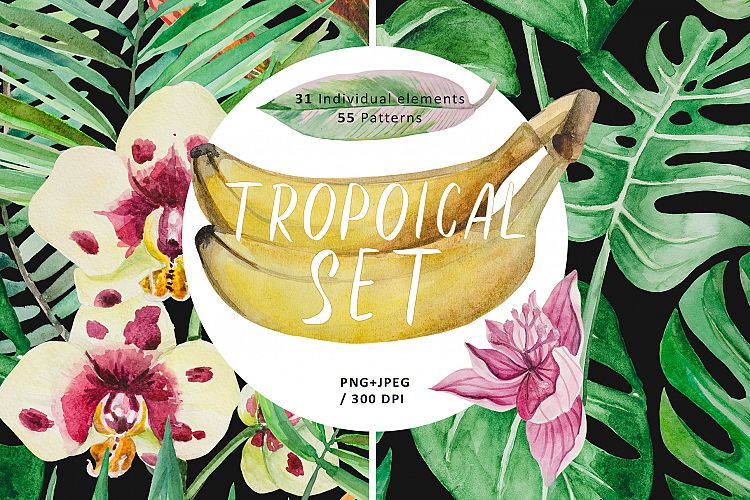 Tropical set
