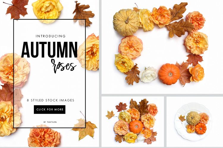 Autumn roses flat lay stock photos