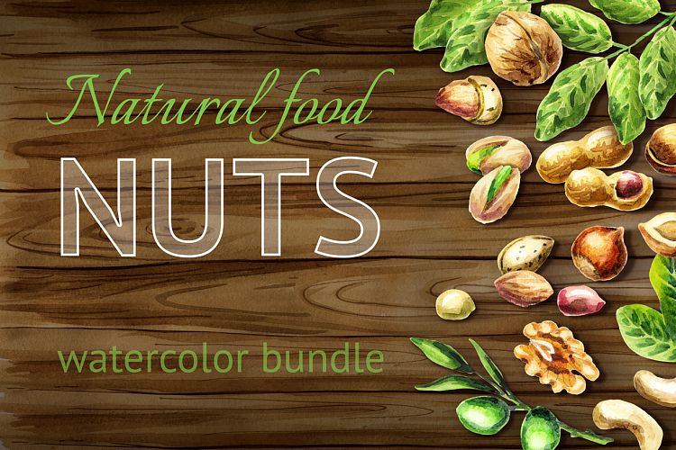 Nut mix. Watercolor