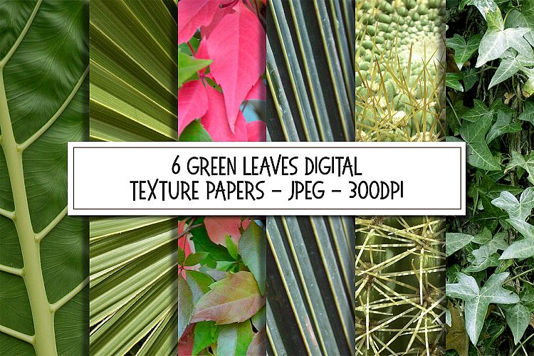 Leaf Patterns and Leaves Texture Backgrounds Bundle
